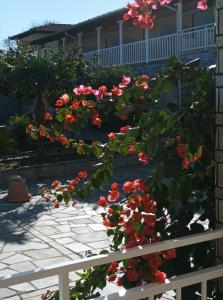 艾斯普罗瓦塔Bella Terra Nature Living的 ⁇ 上种着红色花的花园