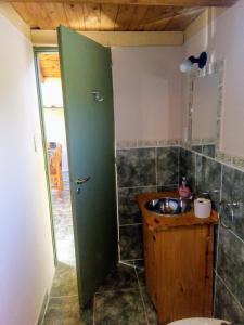 埃博森La casa de la abuela Cabaña的一间带水槽和绿门的浴室