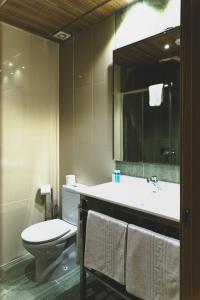 托莱多HOSTAL NOGUERAS 3的一间带卫生间、水槽和镜子的浴室