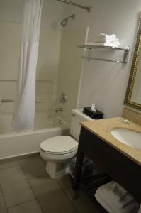 弗雷德里克弗雷德里克卡尔森江山旅馆及套房酒店的浴室配有卫生间、浴缸和水槽。