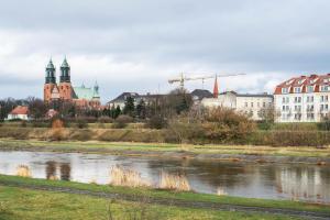 波兹南Novinea Noclegi Ostrów Tumski的享有河流和建筑的城市美景