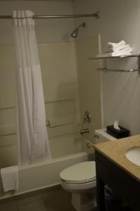 弗雷德里克卡尔森江山旅馆及套房酒店的一间浴室