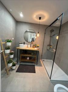 里斯本Luxury Artistic Digital Nomad Getaway w/ Terrace的带淋浴、盥洗盆和镜子的浴室