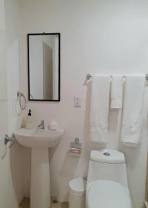 QuesadaHotel Ventura的一间带水槽、卫生间和镜子的浴室