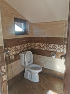 多布里尼什特Ергини的一间带卫生间的浴室和墙上的电视