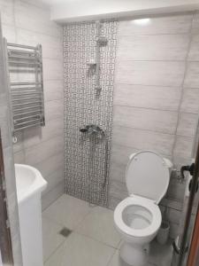 多布里尼什特Ергини的浴室配有白色卫生间和淋浴。