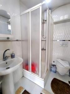 安塔利亚Sere的带淋浴、盥洗盆和卫生间的浴室