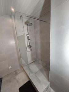 索恩河畔沙隆Famille House 202的浴室里设有玻璃门淋浴