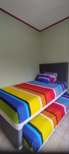 茂物FAI Bogor Backpacker by SPAZIE的客房内的彩虹色床