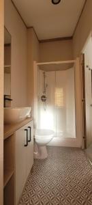 托基Luxury Lodge @ Hoburne Devon Bay的浴室配有卫生间、盥洗盆和淋浴。