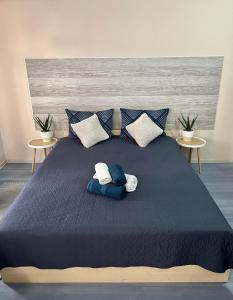 蒂米什瓦拉PENSIUNEA UNO的一间卧室配有一张床,上面有两条毛巾