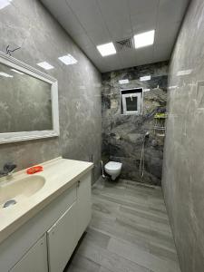 巴库CHEMPION HOSTEL BAKU的一间带水槽和卫生间的浴室