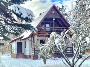 Klusek BiałyLAGO BLANCO的雪地里的小木屋,有雪覆盖的树木