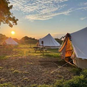 莱肯希思Willow Grove Farm Glamping的两个帐篷和野餐桌,在一片田野上欣赏日落
