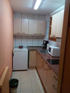 帕斯底拉卡萨埃尔斯艾维斯公寓酒店的小厨房配有冰箱和微波炉。