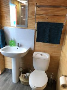 特鲁罗Cox Hill Glamping Badger的浴室配有白色卫生间和盥洗盆。