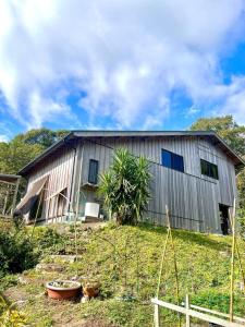 屋久岛Eco Lodge Moss Tasha - Vacation STAY 39871v的一座种植了植物的古老谷仓