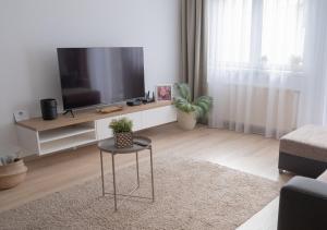 凯奇凯梅特Central Apartman, Belváros Lakás的客厅配有平面电视和桌子。