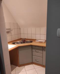 波兹南Rynek 11的一个带水槽和柜台的小厨房