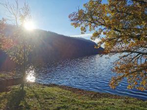 Gîte de campagne Gaspard的阳光明媚的湖景
