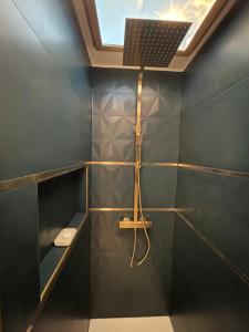 塞夫尔Blue Haven Sèvres的带淋浴的浴室和天花板