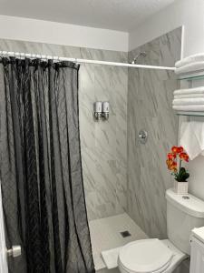 坦帕Incredible comfortable apartments near the airport and beaches的带淋浴帘和卫生间的浴室