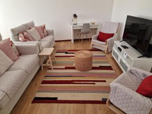 丰沙尔Funchal Downtown Flats 2的带沙发和电视的客厅