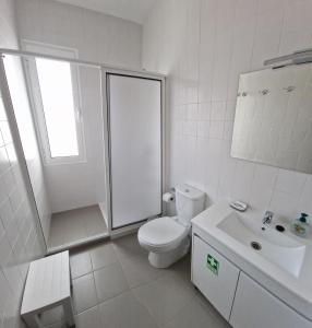 丰沙尔Funchal Downtown Flats 2的白色的浴室设有卫生间和水槽。