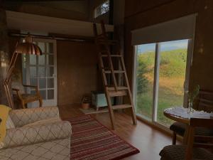 科伊艾科Tiny House, Cabaña的带沙发和大窗户的客厅