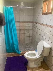 别霍港Caribbean Comfort的浴室设有卫生间和蓝色的浴帘。