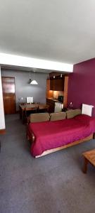 洛斯佩妮滕特斯Departamento Penitentes Lomas Blancas的一间卧室配有一张带红色毯子的大床
