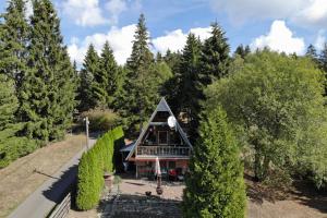 HeidersbachFinnhütte im Herzen des Thüringer Wald/ Haus Alwin的树林中小屋的顶部景色
