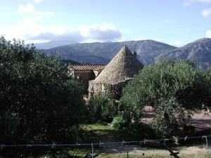 多尔加利Casa in campagna的茅草屋顶、树木和山脉的房子