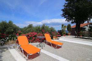 Katastárion-Grand house Tassos-的两把橙色椅子和一张鲜花前的桌子