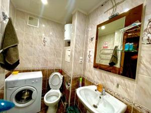 巴甫洛达尔Apartments on Kuban 63的一间带水槽、卫生间和镜子的浴室