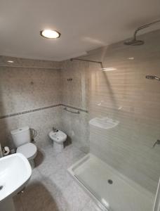 马拉加El refugio de Torrijos的浴室配有卫生间、淋浴和盥洗盆。