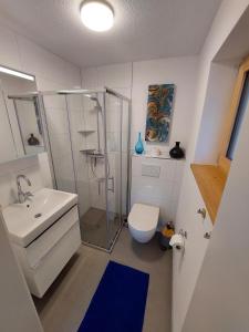 施伦斯Haus Ströhle的带淋浴、卫生间和盥洗盆的浴室