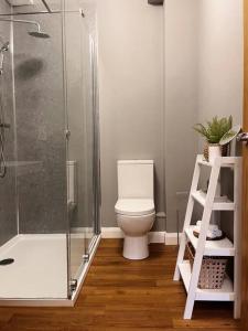 托德莫登Modern Ground Floor Apartment的一间带卫生间和玻璃淋浴间的浴室