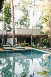 托兰克索CASA SUKHA Hotel的一个带游泳池和棕榈树的度假村