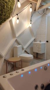 CoincoRetroDOMOS的浴室设有卫生间和灯光浴缸。