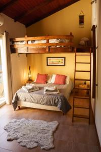 米纳斯Posada La Serena的一间卧室设有两张双层床和梯子