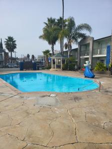 瓦列霍Motel 6 Vallejo, CA - Napa Valley的一个种有棕榈树的大型蓝色游泳池
