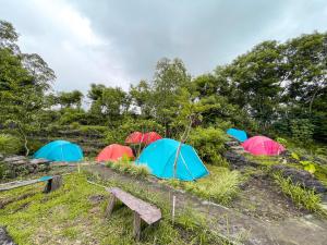 金塔马尼Rejengbali的一组帐篷,位于一个有长凳的田野