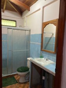 德雷克Betania House的一间带卫生间、水槽和镜子的浴室