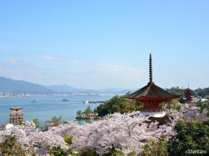 广岛广岛王子酒店的享有湖泊、宝塔和樱树的景致。