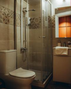 普拉特斯Kallithea INN的一间带卫生间和玻璃淋浴间的浴室