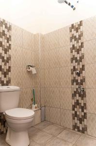 Langata RongaiSpringStone Studio Apartment Rm 19的一间带卫生间和淋浴的浴室
