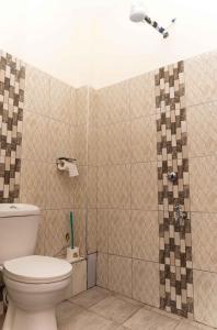 Langata RongaiSpringStone Studio Apartment Rm 19的一间带卫生间和淋浴的浴室