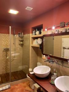 瑞达里那Cal Bonic的带淋浴、盥洗盆和卫生间的浴室