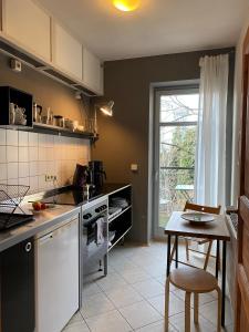 德累斯顿Apartments Dresden Neustadt Apartment LOUISE的厨房配有柜台和桌子